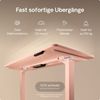 Desktronic HomePro Elektrisch höhenverstellbarer Schreibtisch 120x60cm Weiß/Rosa mit Memory-Funktion, Anti-Kollisions Technologie, USB-A und USB-C-Ladeanschlüssen Bild 3