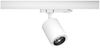 Paulmann 965. 50 ProRail3 LED Schienenspot Kratos 50° 2000lm 18,5W 3000K 230V Weiß Bild 4