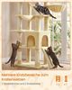 FEANDREA Kratzbaum XXL für Große Katzen mit 7 Ruhezonen und Sisal 55 x 45 x 206 cm Beige Bild 4