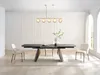 Vente-unique - SOFIA Hängelampe Kronleuchter und Deckenlampe Metall GrauGold - B 15 cm x H 120 cm x L 100 cm Bild 5