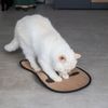 Katzenkratzmatte ca. 50,5 x 30,5 cm mit rutschfestem Boden – Robuste Kratzfläche zum Schutz von Möbeln und Böden Bild 4