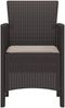 vidaXL Gartenstuhl mit Kissen 4 pcs Braun 53 x 49 x 85 cm Polypropylen 847474 Bild 3