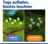 Maximex Solar LED Gartenstecker Pusteblume, 2er Set, LEDs in 5 Farben, 2 Lichtmodi, Dämmerungssensor, wetterfest, Solar Gartenbeleuchtung für Beete und Pflanzkübel, 9x75 cm, Polyester/Metall Bild 4
