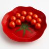 Schale Glas ARIA FRESH Tomate 22x22x2 cm rot 1 Stück Bild 3