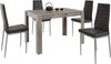 INOSIGN Essgruppe mit Tisch und 4 Stühlen, (Set, 5-tlg), Tischbreite 120 cm Esszimmer Set, Tischgruppe Bild 2