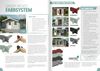 Lasita Gartenhaus Wrexham 1 : Naturbelassen : Basic Bild 4