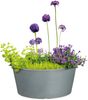 Scheurich C-Cone 40, Pflanzschale/Blumentopf/Pflanzkübel, rund, aus Kunststoff Farbe: Stony Grey, 39 cm Durchmesser, 17,5 cm hoch, 15 l Vol. Bild 3