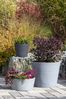 Scheurich C-Cone 40, Pflanzschale/Blumentopf/Pflanzkübel, rund, aus Kunststoff Farbe: Stony Grey, 39 cm Durchmesser, 17,5 cm hoch, 15 l Vol. Bild 5