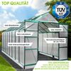 BRAST Gewächshaus Aluminium mit Fundament rostfrei 6mm Platten 490x250x235cm Grün - TÜV geprüft Bild 3