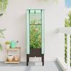 vidaXL Hochbeet mit Gewächshaus-Aufsatz Rattan-Optik 40x40x140 cm 4015804 Bild 3
