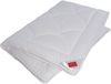 Hefel 4-Jahreszeitenbett Edition 101, Bettdecke für Sommer und Winter, Füllung: 100% Naturfaser TENCEL™, Bezug: Baumwolle, Bettdecke in 135x200 cm, 155x220 cm und weiteren Größen Bild 3