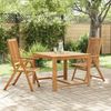 Gartenstühle COLLI 2er Set Klappbar Akazie Massivholz Braun | Gartenstuhl Holz Outdoorstühle Balkonstühle Bild 4