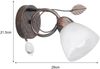 Wandleuchte TRADITIO Rostoptik mit Glasschirm und Blätterdeko, Höhe 21,5cm Bild 4