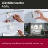 Paulmann 95574 LED Bilderleuchte Adelia Alu gebürstet 2700K Einzelleuchte Bild 5