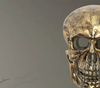 FineBuy Wanddeko Totenkopf Aluminium 41 cm Schädel Groß, Design Wanddekoration Metall Deko Alu Modern, Wohndeko Skull, Wandskulptur Dekoration Wohnaccessoire Bild 4