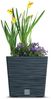 Prosperplast Blumentopf, Furu Square Low Einsatztopf 14 / 19 L Bild 3