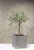 Polystone Pflanzwürfel - glatte Oberfläche 60 cm crème Bild 2