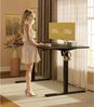 OffiGo Höhenverstellbarer Schreibtisch 160 cm Elektrisch Memory-Funktion Schwarz Bild 2