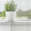 vidaXL Voile Vorhänge mit Ösen 2 Stk. Hellgrau 140x245 cm 4102110 Bild 3