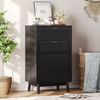 FUROKOY Kommode Sideboard mit 4 Schubladen Rattanschrank Küchenschrank, Schlafzimmerschrank Holz,Schwarz Bild 2