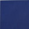 vidaXL Abdeckplane Blau 5x5 m 650 g/m² 156176 Bild 5