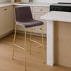 Barhocker TENAR - Samt Braun 43x48x100 cm Gold | Barstuhl Mit Lehne Tresenhocker Tresenstuhl Kneipenhocker Kneipenstuhl Bild 2