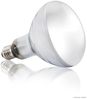 Exo Terra Terrarienleuchte Solar-Glo Daylight - Sonnenlicht simulierende Lampe Bild 2