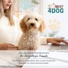 FDM PUDDY wasserdichtes Hundebett 70x100x5 cm Polyurethanschaum mit waschbarem Bezug Braun/Gold Bild 4