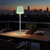 2x LED Tischlampe, blassgrün, Touchdimmer, Akku, IP44, H 36 cm Bild 2