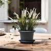 Basic 15cm Anthrazit mit Untersetzer 4er SET Bild 5