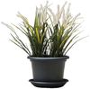 Basic 15cm Anthrazit mit Untersetzer 4er SET Bild 2