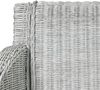 vidaXL Esszimmerstuhl mit Kissen Grau Natur Rattan [325485] Bild 5