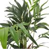 bümö plants Bergpalme Kunstpflanze - Täuschend echte Bambuspalme, geruchlose Premium Kunstblume für lebendiges Ambiente - authentische, künstliche Pflanzen als Deko für's Wohnzimmer, Büro & mehr, BUP-chamaedorea Bild 2