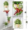 Haushalt International Blumenständer Teleskop Blumenregal mit runden Abstellflächen aus Glas, Einfache und schnelle Montage ohne zu bohren Bild 2