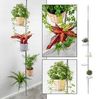 Haushalt International Blumenständer Teleskop Blumenregal mit runden Abstellflächen aus Glas, Einfache und schnelle Montage ohne zu bohren Bild 4