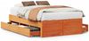 vidaXL Massivholzbett ohne Matratze mit Schubladen Braun 120x190 cm 3308824 Bild 2