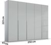 rauch Kleiderschrank; Drehtürenschrank PURISMA, 5-türig, 5 Glastüren, Seidengrau, inkl. Innenspiegel und weiteres Zubehör, 251x223x61xcm Bild 4