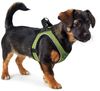Hunter Tierbedarf Hunde-Geschirr Geschirr Hilo Comfort limette Bild 2