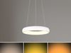 TRIO Pendelleuchte LED 349614531 Bild 3