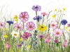 Heckett & Lane Satin Bettwäsche 135x200 Campo White Blumenwiese rosa gelb blau bunt Bild 3
