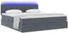 vidaXL Bett mit Stauraum und LED mit LED Dunkelgrau 180 x 200 cm Samt 3371410 Bild 3