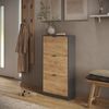 Schuhkipper Gizmo Goldkraft Eiche/Anthrazit 59 x 112 cm mit 3 Fächern Vicco Bild 3