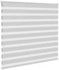 vidaXL Doppelrollo Hellgrau 160x150 cm Stoffbreite 155,9 cm Polyester 4014455 Bild 3