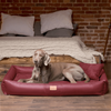 CLIFFORD VIP Orthopädisches Hundebett - 85x60cm, 14 Beige Bild 4