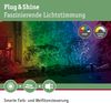 Paulmann No. 94283 Plug&Shine ZigBee RGBW Spot Pike 4W 24V 40° Anthrazit Bild 3