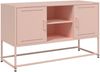 vidaXL TV-Schrank Rosa 100,5x39x60,5 cm Stahl 846513 Bild 2