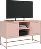 vidaXL TV-Schrank Rosa 100,5x39x60,5 cm Stahl 846513 Bild 4