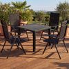 CASARIA® Aluminium Sitzgruppe Bern 4+1 WPC Tisch Hochlehner Bild 2
