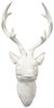 Hirschgeweih Hirschkopf Wanddeko Dekoration Wandschmuck Figur Geweih Weiß 47,5x61cm Bild 1