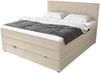 99rooms Madagaskar Boxspringbett Kunstleder MADRYT Champagner 160x200 cm Bonell-Federung Bild 3